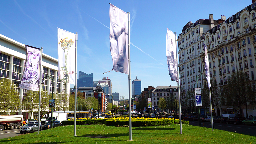 Downtown Brussels Art