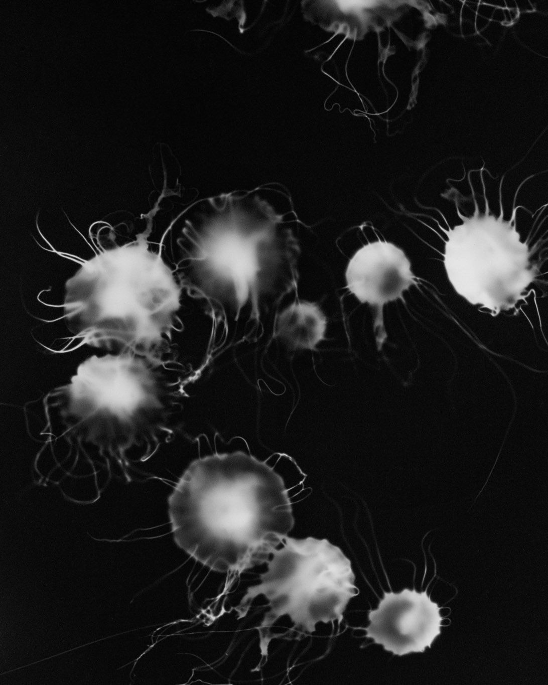 Hangar Unique Aliki Christoforou