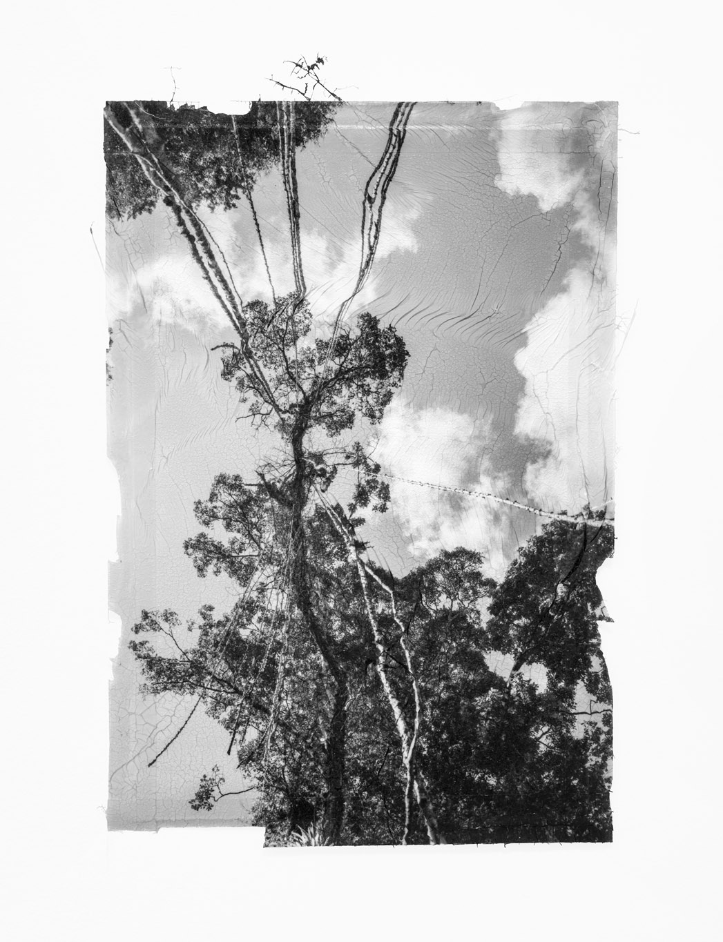 Hangar Unique Sylvie Bonnot