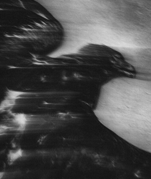 Jaïr Marc Castillo, Limita di Libertat, 2025, 113,35 x 90 cm, impression jet d'encre sur papier Hahnemühle Photo Rag métallisé, encadrement en chêne, verre de musée et numérotation, Édition de 5, exposition Den Silencio, Entry Gallery, Bruxelles, 2026, (c) Jaïr Marc Castillo, courtesy Entry Gallery, Boombartstic Art Magazine