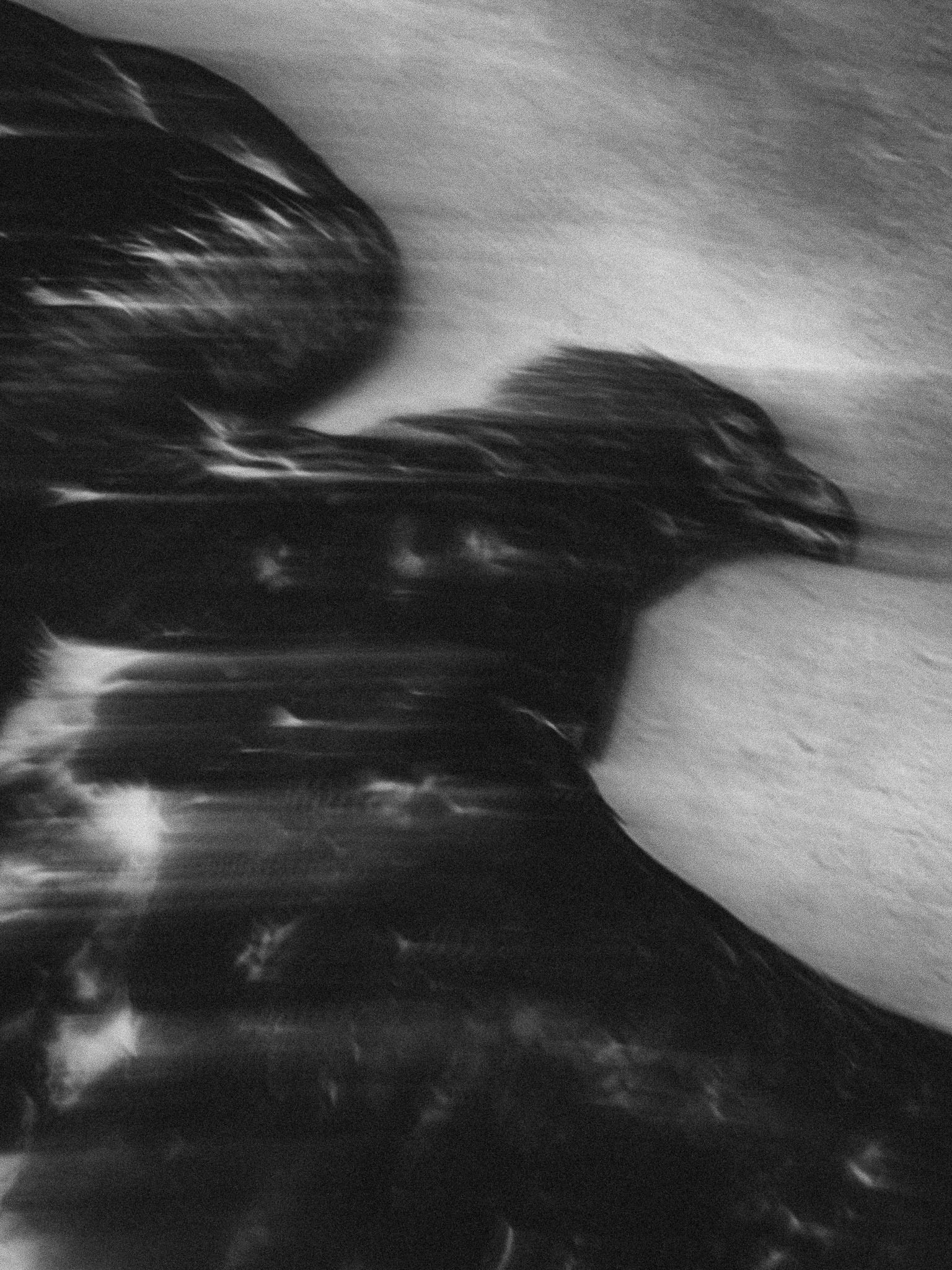 Jaïr Marc Castillo, Limita di Libertat, 2025, 113,35 x 90 cm, impression jet d'encre sur papier Hahnemühle Photo Rag métallisé, encadrement en chêne, verre de musée et numérotation, Édition de 5, exposition Den Silencio, Entry Gallery, Bruxelles, 2026, (c) Jaïr Marc Castillo, courtesy Entry Gallery, Boombartstic Art Magazine