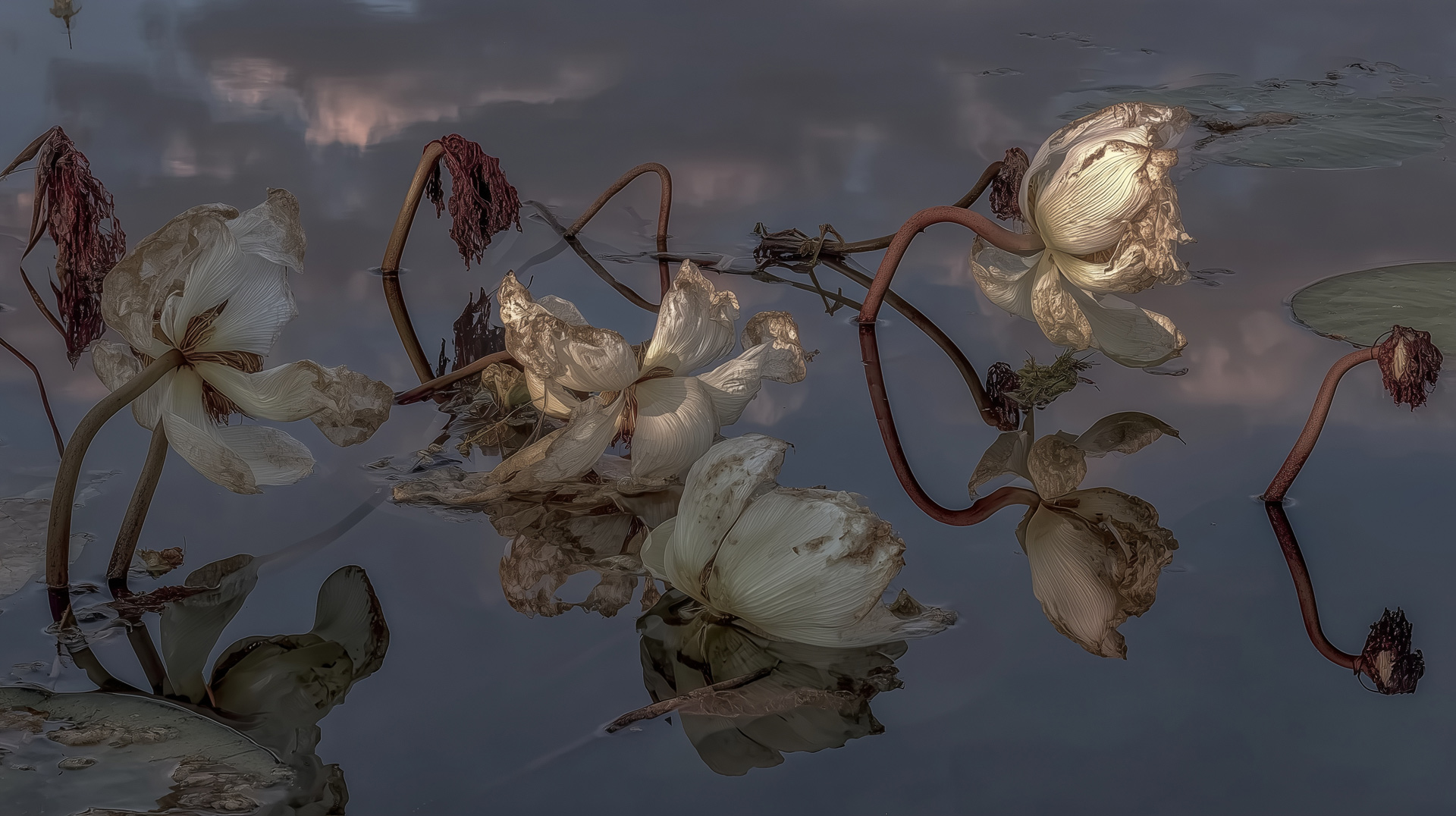 Sébastien Lacomblez, exposition Les Formes Vides, Installation Vidéo, 3', 2026, musée Horta, bruxelles, 2026, (c) Sébastien Lacomblez, agenda avril 2026, Paysages & Jardins, Boombartstic Art Magazine