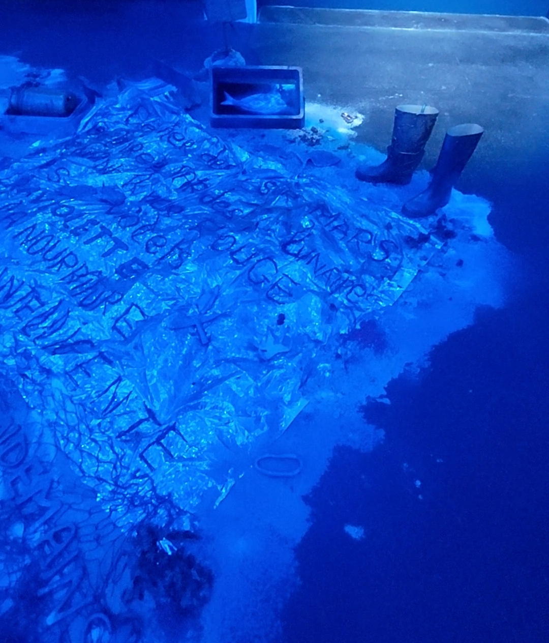 Louisa Marajo, vue de l'exposition La Solidarité des Destins - restitution de résidence au Grau du Roi, CRAC Occitanie, Sète, France, 2026, (c) courtesy Louisa Marajo, (c) photo Eric Mabille, Boombartstic Art Magazine