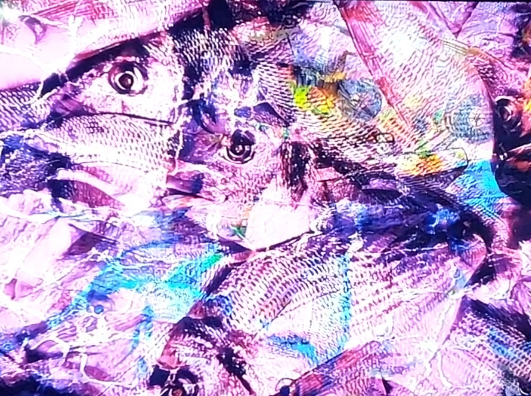 Louisa Marajo, vue de l'exposition La Solidarité des Destins - restitution de résidence au Grau du Roi, CRAC Occitanie, Sète, France, 2026, (c) courtesy Louisa Marajo, (c) photo Eric Mabille, Boombartstic Art Magazine