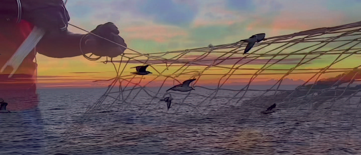 Louisa Marajo, photogramme, extrait du court métrage La Solidarité des Destins, 2025, exposition La Solidarité des Destins, CRAC Occitanie, Sète, France, 2026, (c) Louisa Marajo, (c) photo courtesy CRAC Occitanie, Boombartstic Art Magazine