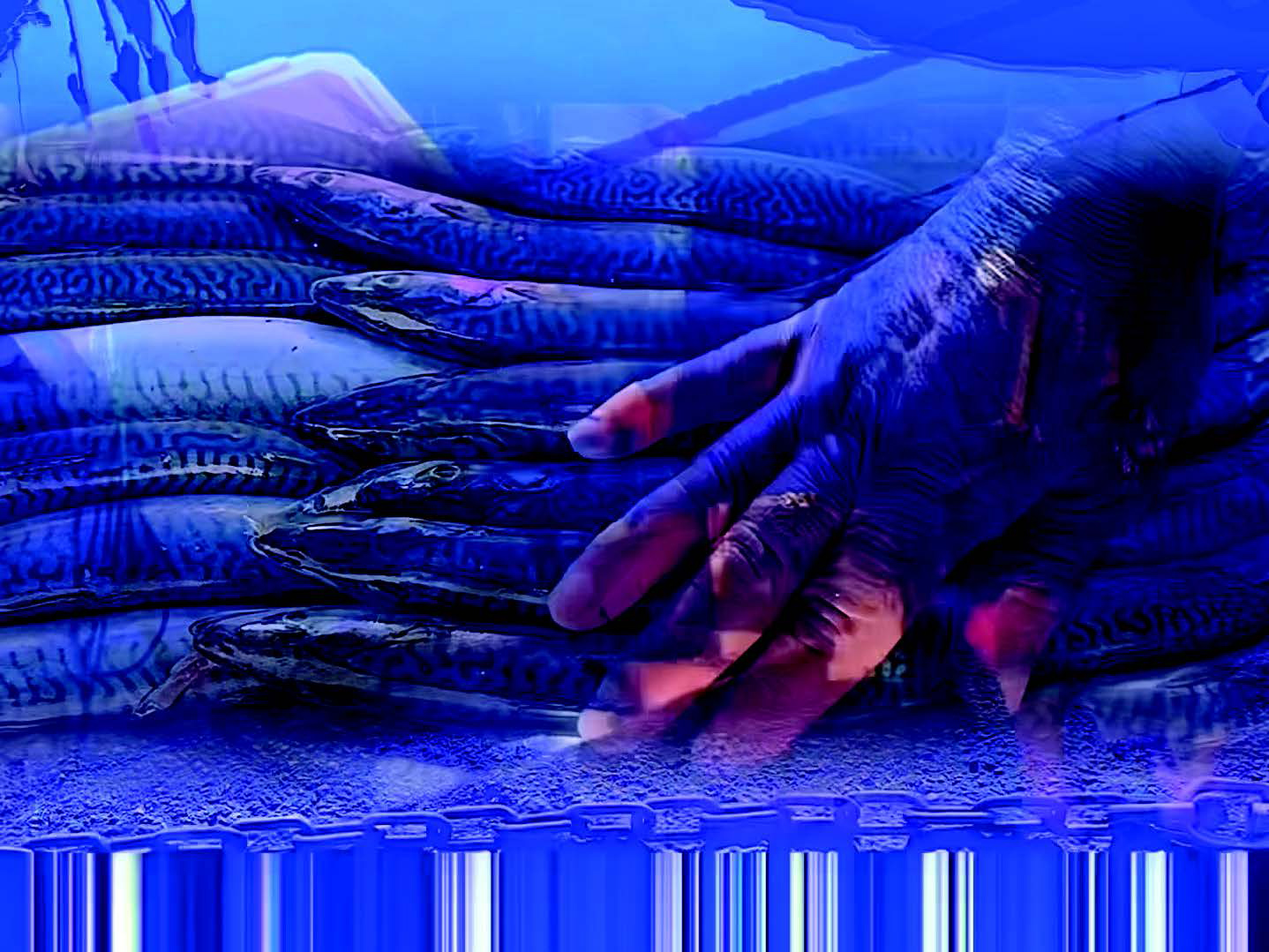 Louisa Marajo, photogramme, extrait du court métrage La Solidarité des Destins, 2025, exposition La Solidarité des Destins, CRAC Occitanie, Sète, France, 2026, (c) Louisa Marajo, (c) photo courtesy CRAC Occitanie, Boombartstic Art Magazine