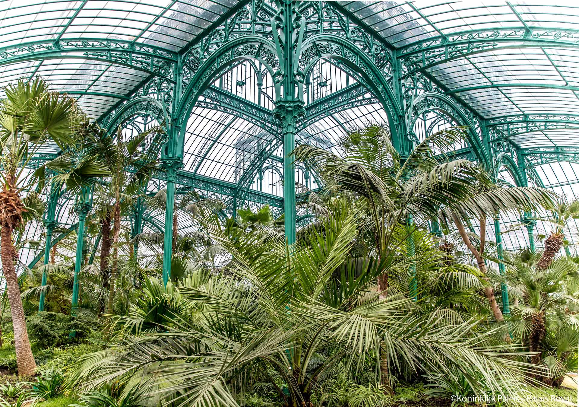 Ouverture des Serres Royales de Laeken, du 17 avril au 10 mai 2026, (c) photo Palais Royal - Koninklijk Paleis, Bruxelles, agenda avril 2026, Paysages & Jardins, Boombartstic Art Magazine