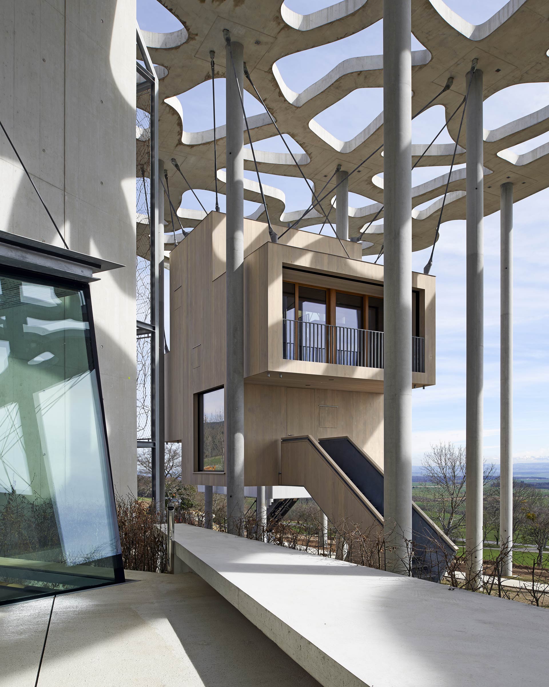 Fondation Jan Michalski pour l'écriture et la littérature, cabane du bureau d'architecture Rintala, Montricher, Suisse, (c) Tonatiuh Ambrosetti, Boombartstic Art Magazine
