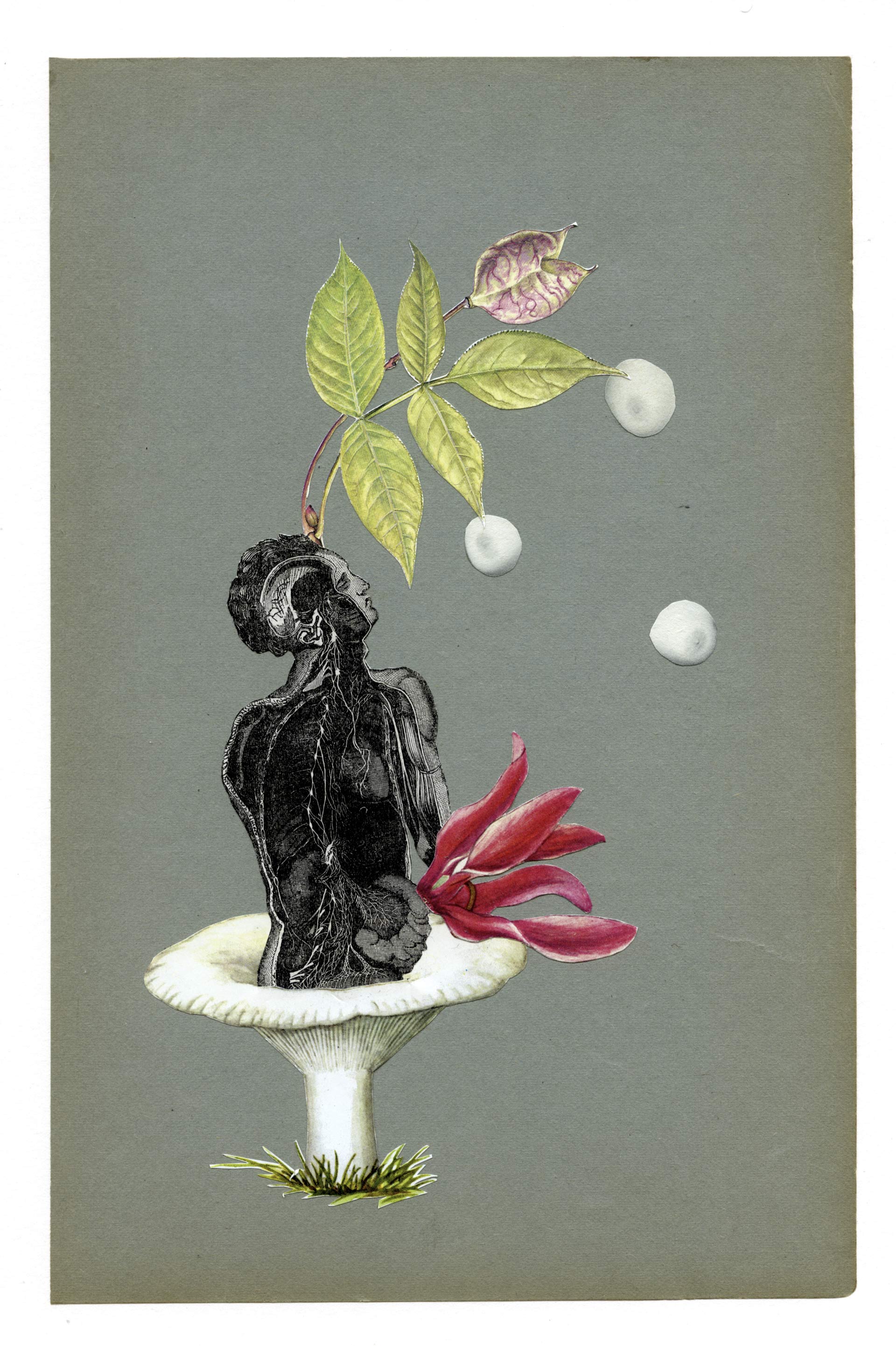 Nathalie Amand, Champignon lymphatique, 22 X 33 cm, exposition La Botanique, Le Salon d'Art, Bruxelles, 2026, (c) Nathalie Amand, courtesy Le Salon d'Art, Boombartstic Art Magazine