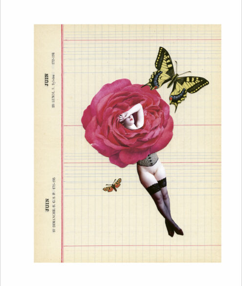 Nathalie Amand, Le Carnet rose, 14-x-11 cm, photo-collage, illustration du livre Le Carnet Rose avec des textes de Jacques Sojcher, exposition La Botanique, Le Salon d'Art, Bruxelles, 2026, (c) Nathalie Amand, courtesy Le Salon d'Art, Boombartstic Art Magazine