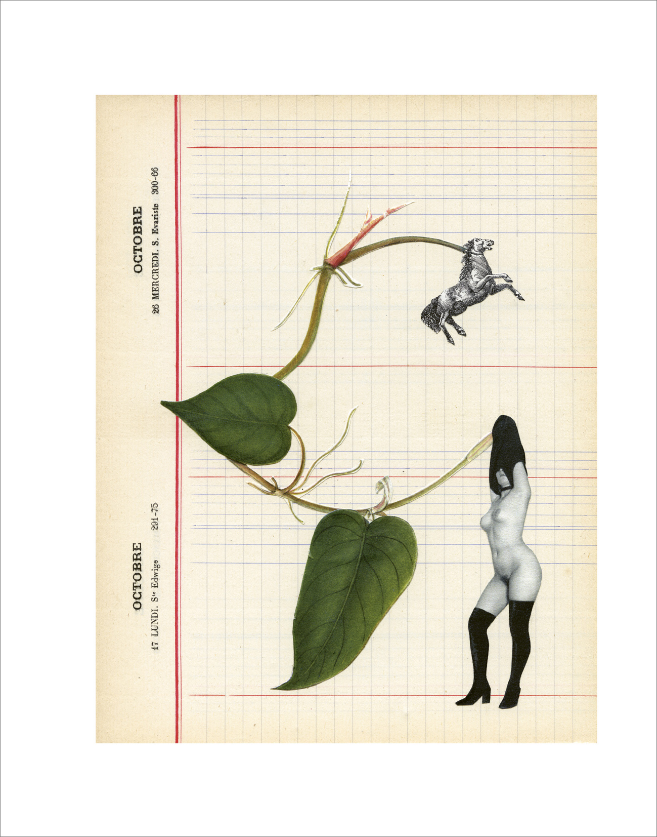 Nathalie Amand, Le Carnet rose, 14-x-11 cm, photo-collage, illustration du livre Le Carnet Rose avec des textes de Jacques Sojcher, exposition La Botanique, Le Salon d'Art, Bruxelles, 2026, (c) Nathalie Amand, courtesy Le Salon d'Art, Boombartstic Art Magazine