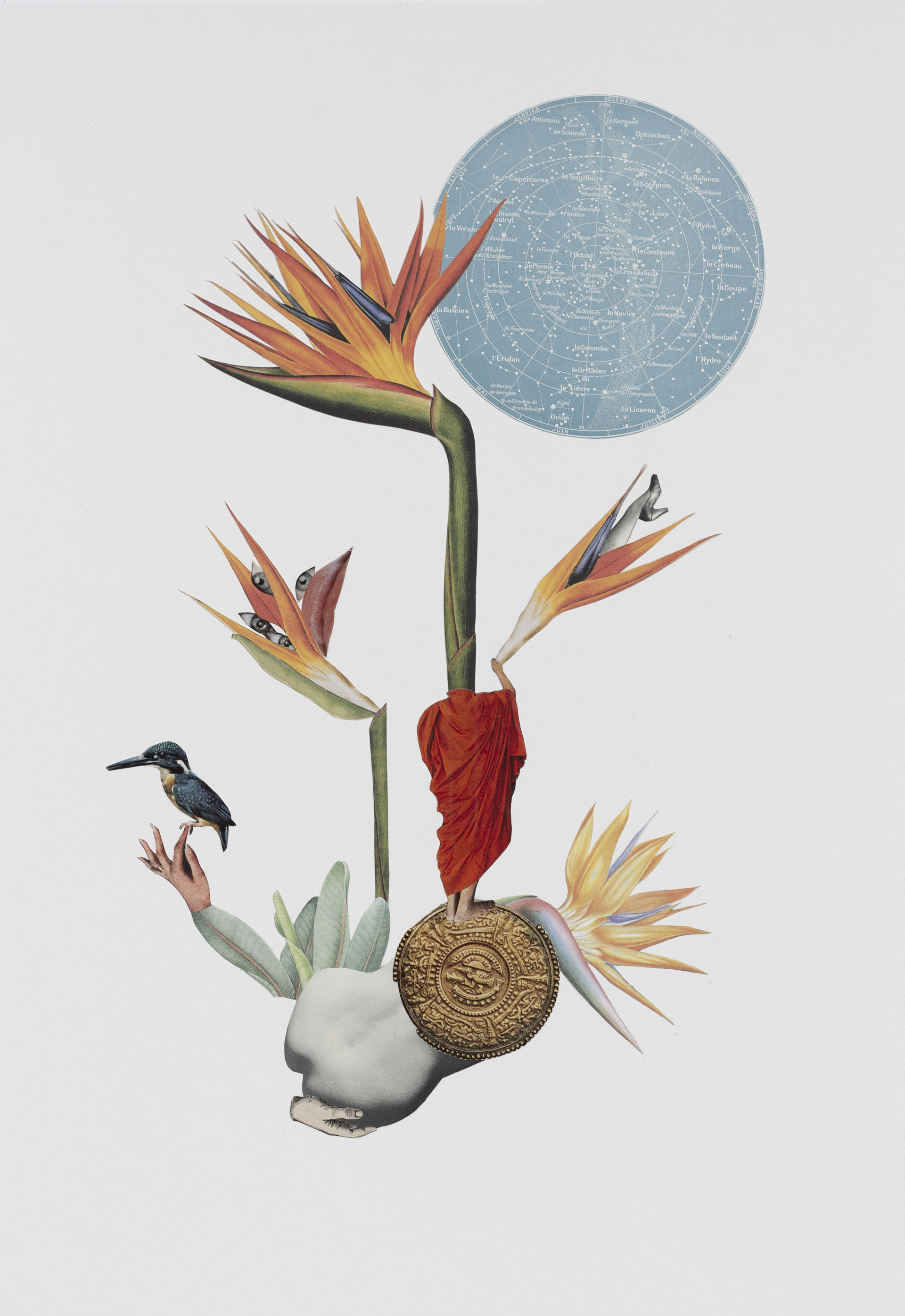 Nathalie Amand, Oiseau du Paradis, photo-collage, exposition La Botanique, Le Salon d'Art, Bruxelles, 2026, (c) Nathalie Amand, courtesy Le Salon d'Art, Boombartstic Art Magazine