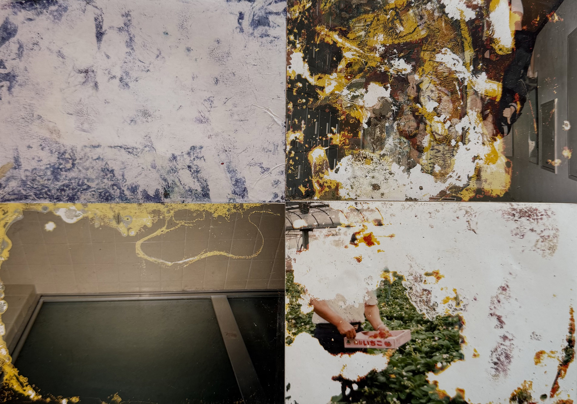 Takahashi Munemasa, Lost and Found, installation, 1600 photos trouvées dans leur chemise en plastique, date inconnue, exposition Lost & Found, Fondation A, Bruxlles, 2026, (c) courtesy the artist et Lost & Found Project 3.11, Boombartstic Art Magazine