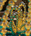 Jean-Michel Othoniel, Gold Lotus , 2022, Inox, feuille d’or, exposition Diary of Happiness, Fondation Boghossian - Villa Empain, 2026, (c) Othoniel Studio_Jean-Philippe Robin, Boombartstic Art Magazine