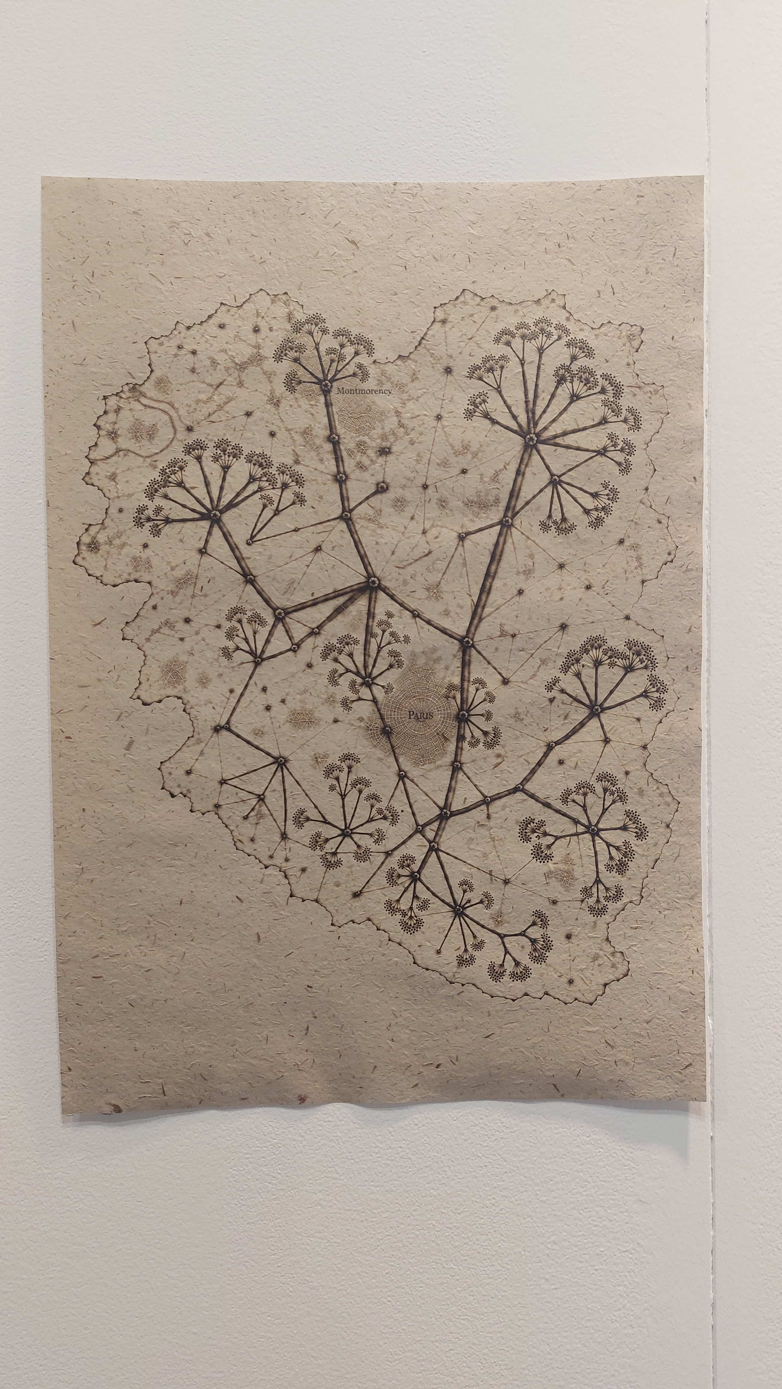 Harshit Agrawal, Herbarium of Gentle Resistance, projet collectif DARArtNouveau, Octaar, Londres | Miami | Paris | Amsterdam, ArtOnPaper 2026, Bruxelles, (c) Octarr, (c) photo Eric Mabille, Boombartstic Art Magazine